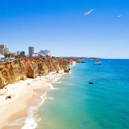 公寓 B66 - Quinta Amparo *